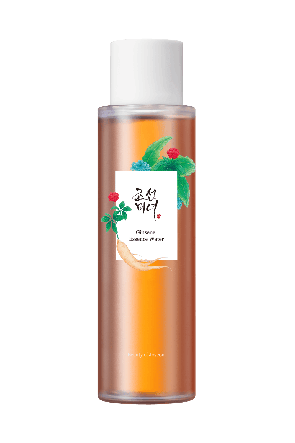 Beauty of Joseon Ginseng Ritual Edition Gift Set